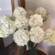 green☆プロフィール必読の画像