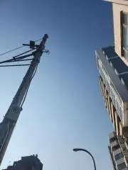 りゅりゅの画像