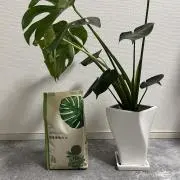 23selectの画像