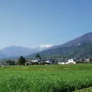 まおの画像