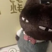 ハチの画像