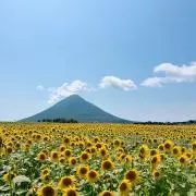 choco_mono(⑅•ᴗ•⑅)の画像