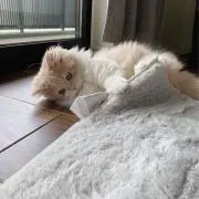 mの画像