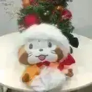S☆即購入可の画像