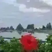 ⋆*プロフ必読(❁ᴗ͈ˬᴗ͈)⁾なつ⋆*の画像