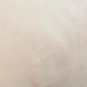 プロフ必読※読んでない方と取引不可