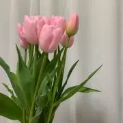 はる❁