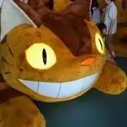 なかぴの画像