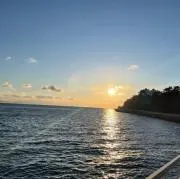 moの画像