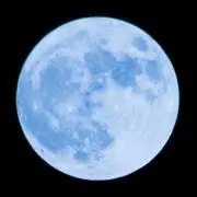 ☆あねもね☆