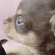mrkグランマ