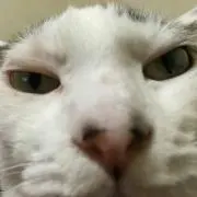 ✪⁑⁑山さん⁂✪