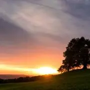 空。24時間以内発送の画像