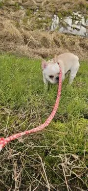 たかちん