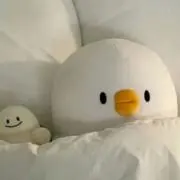 すみの画像