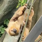 moohの画像