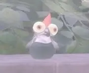 くのの画像
