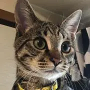 mona815の画像