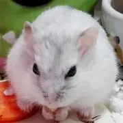 ☺️はるたん☺️