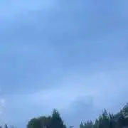 まい