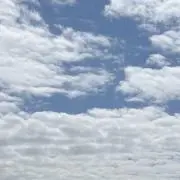 ダック☆毎日発送❤️即購入大歓迎❤️の画像