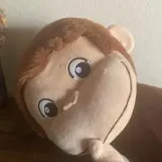 あおはる。の画像
