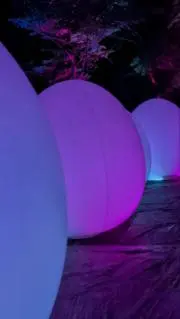 まるまる
