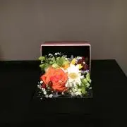 Ma.tanの画像