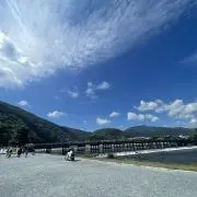 きなこの画像
