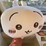 Tomiの画像
