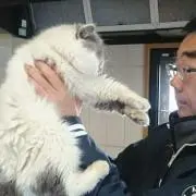 まことの画像