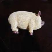 プーちゃんの画像