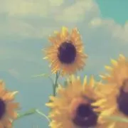 Leiaの画像