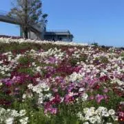 すまいる☆の画像