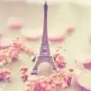 Lilyの画像