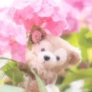 mofutamの画像