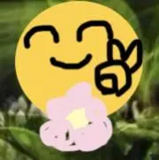 bonbonの画像