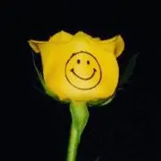 hihihihihiの画像