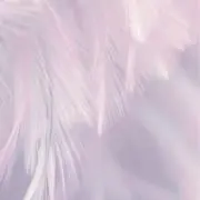 海羽