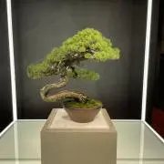SBD ニーラップ 2メートル - メルカリ