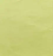 hiroaの画像