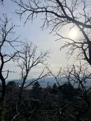 lainの画像