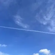 ぬこの画像