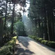 kimiri ☆申請前コメお願いします☆