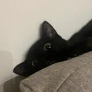 みすら