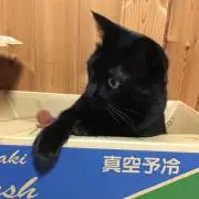 クロ