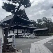 水墨画 鶴 掛軸 八大山人 朱耷 水墨花鳥図 清 - メルカリ