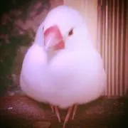 min❤︎