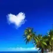 ❥❥❥+ ALOHA ❥❥❥+の画像