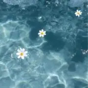 hana_99の画像
